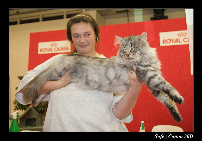 Sep 06 - Salon des animaux de compagnies - 34